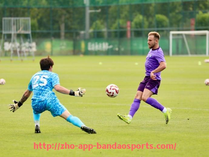 半岛体育app-世俱杯历届比赛射门效率统计及射门选择策略解构