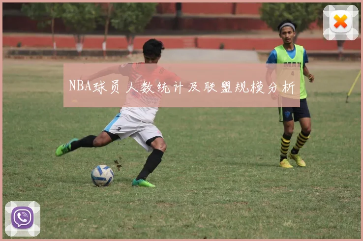 NBA球员人数统计及联盟规模分析