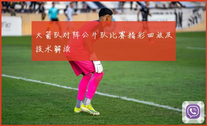 火箭队对阵公牛队比赛精彩回放及技术解读