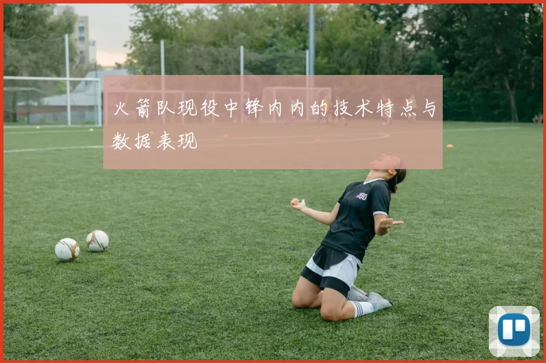 火箭队现役中锋内内的技术特点与数据表现