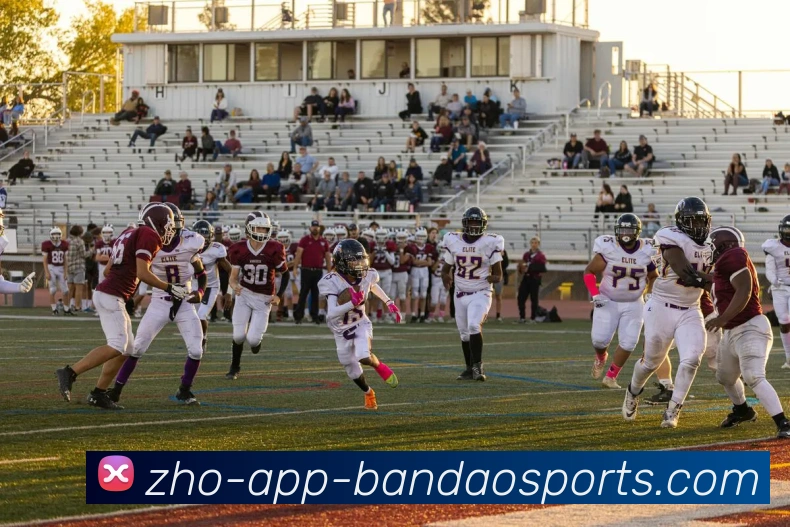 App Interface Preview