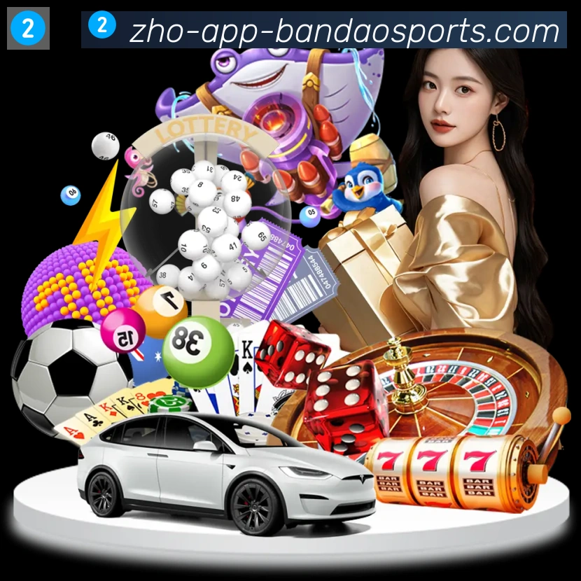半岛体育appAPP 体育赛事宣传图